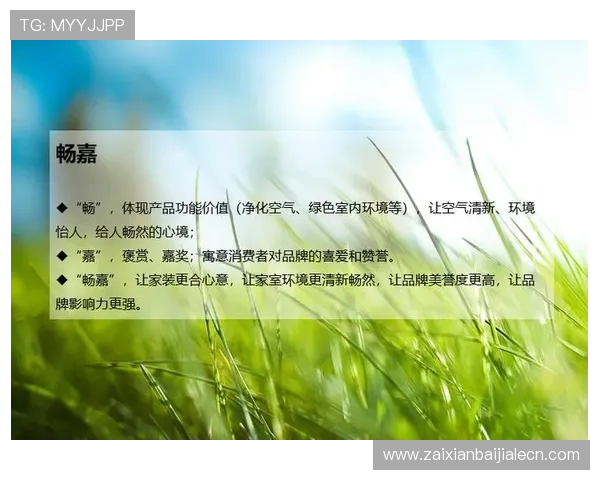 如何通过专业的发财文案提升品牌影响力实现财务增长