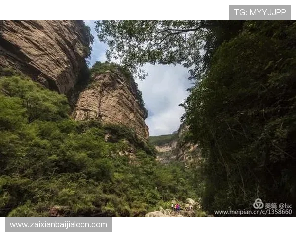 全面解析BG大游真人登录线路的稳定性提升措施与用户登录成功率提升技巧