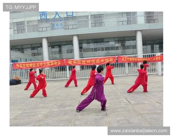 腾龙真人现场活动现场气氛热烈观众互动体验感受传统武术的魅力